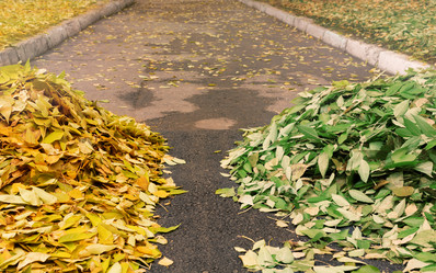 Similar image 21772122