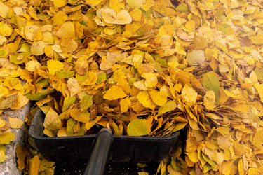 Similar image 21772123