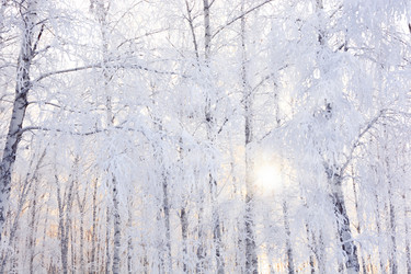 Similar image 21771481