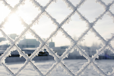 Similar image 21772125