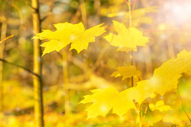 Similar image 21772126