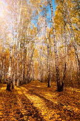 Similar image 21772127