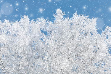 Similar image 21771486