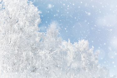 Similar image 21771487