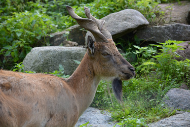 Similar image 21772136