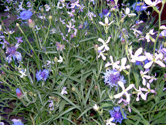 Similar image 21771492