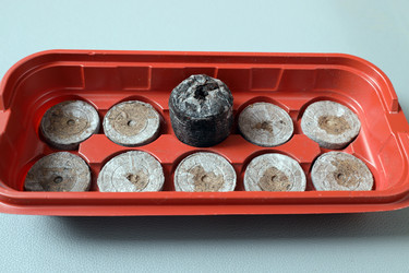 Similar image 21771455