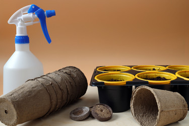 Similar image 21771458