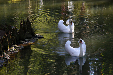 Similar image 21771445