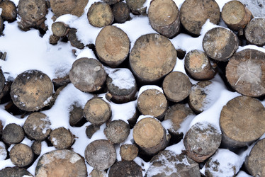 Similar image 21771447