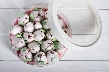 Similar image 21772066