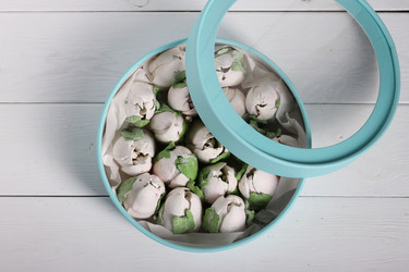 Similar image 21772079