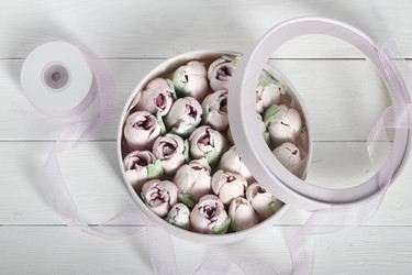 Similar image 21772081