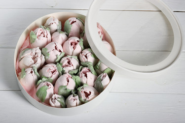 Similar image 21772093