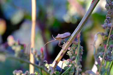 Similar image 21771493