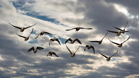 Similar image 21771525