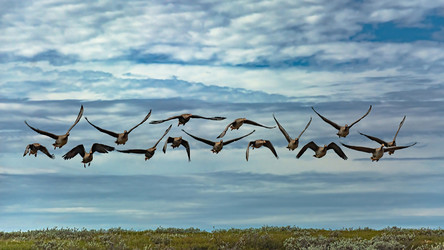 Similar image 21771676