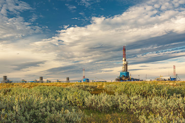 Similar image 21771679