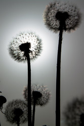 Similar image 21771680