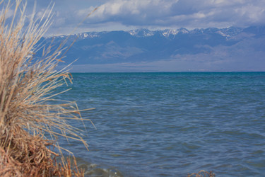 Similar image 21771687