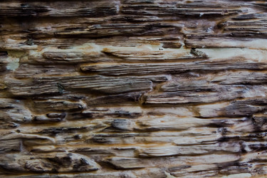 Similar image 21771688