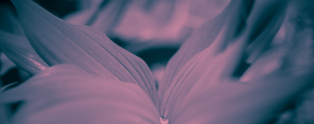 Similar image 21771700