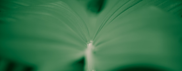 Similar image 21771702