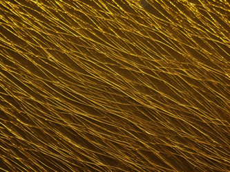 Similar image 21773561