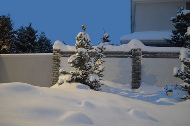 Similar image 21771452