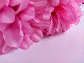 Similar image 21773568