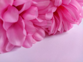 Similar image 21773570