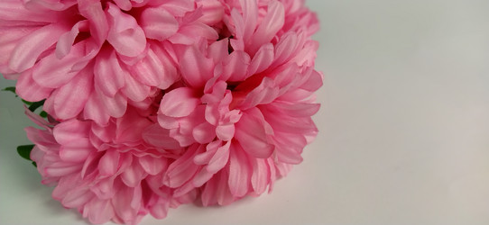 Similar image 21773572