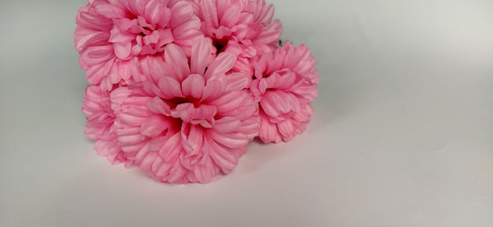 Similar image 21773574