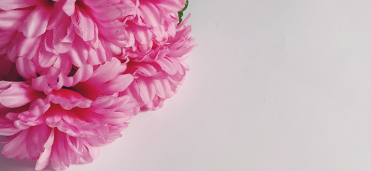 Similar image 21773576