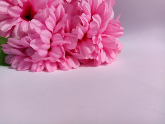 Similar image 21773580