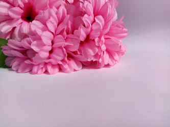 Similar image 21773584