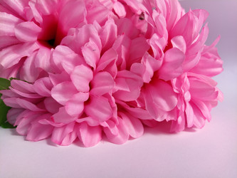 Similar image 21773588