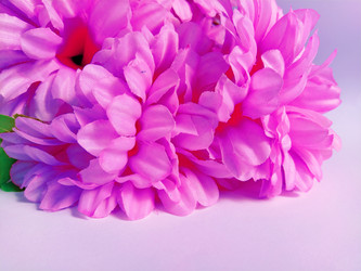 Similar image 21773051