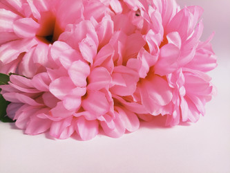 Similar image 21773055