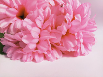 Similar image 21773056