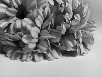 Similar image 21773058