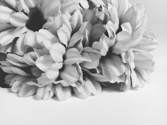 Similar image 21773060