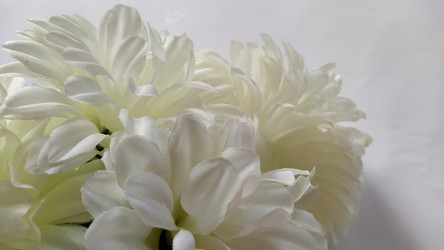 Similar image 21773063