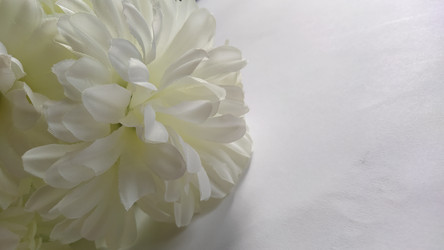 Similar image 21773067