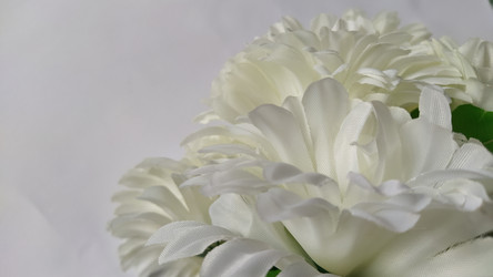 Similar image 21773069