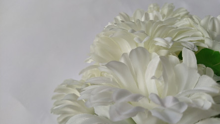 Similar image 21773071