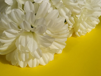 Similar image 21773073