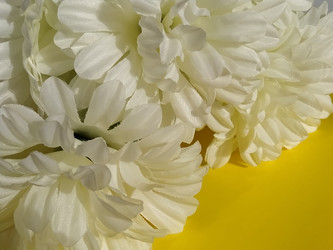 Similar image 21773075