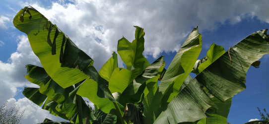 Similar image 21773080