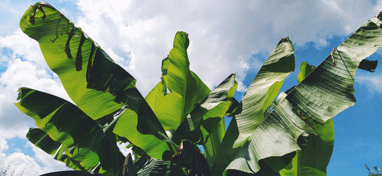 Similar image 21773084